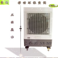 方便移動式冷風(fēng)機(jī) 夏季降溫環(huán)?？照{(diào)節(jié)能省電