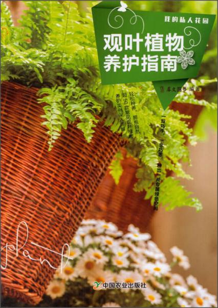 季节性植物养护指南