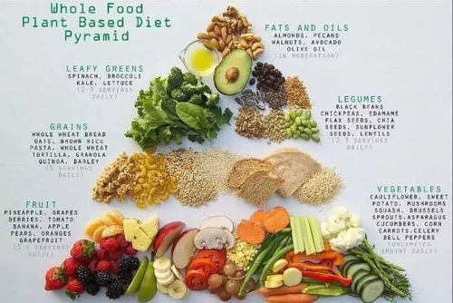 健康饮食中的植物食材选择什么