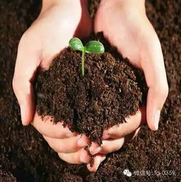土壤有机质的作用及管理