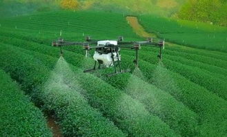 无人机在现代农业中的应用