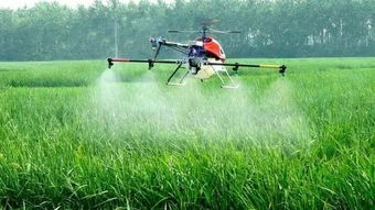 无人机在农业上的应用最引人关注的是