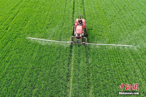 卫星遥感技术应用在水稻上的工作成效