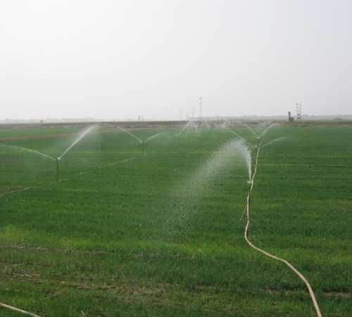 节水灌溉最新消息