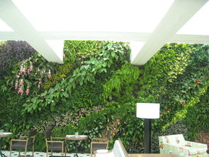 室内植物墙设计的一些原则