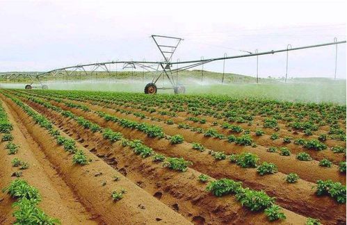 农作物病虫害预防控制方案