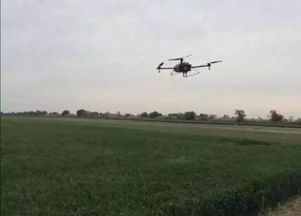 无人机在农业中的应用及展望