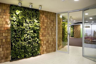 办公室室内植物装饰设计