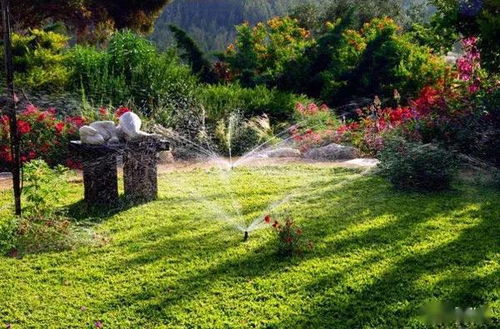 节水灌溉技术措施