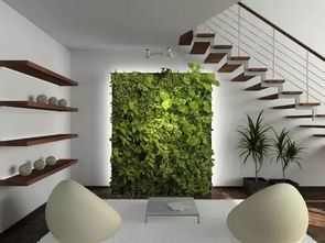 适合室内植物墙的植物品种