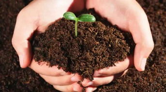 土壤有机质与生态环境