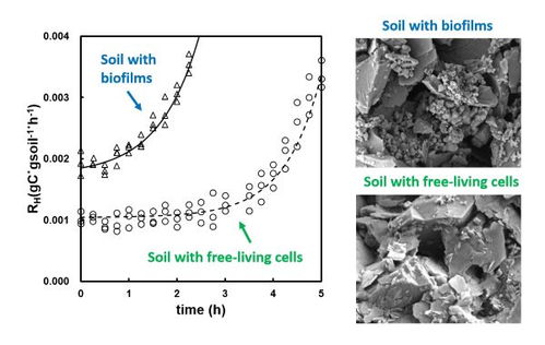 有机土壤与化学土壤的比较