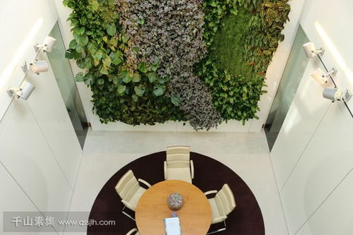 植物墙设计理念