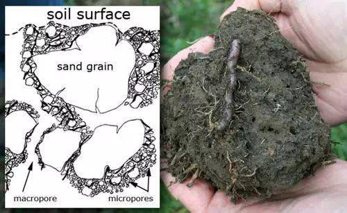 土壤有机质是化学中已有的有机化合物( )