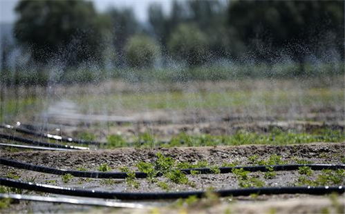 节水的灌溉方式