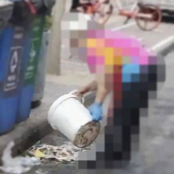 天津市生活废弃物管理规定