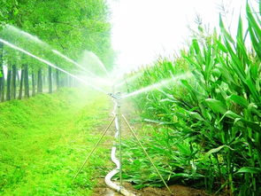 节水灌溉设备厂家排名