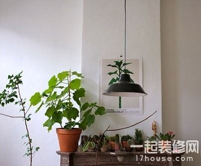 室内植物装饰设计作品欣赏